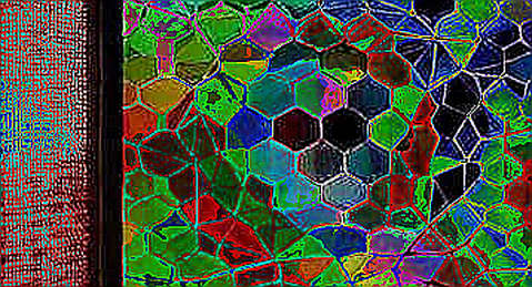 Nine Dimensions, Zero Data: What an All-N/A Due-Diligence Report Actually Measures