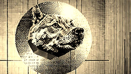 The 'Rogue AI' Category Error: Reading Anthropic's Agent Disclosure Like Code