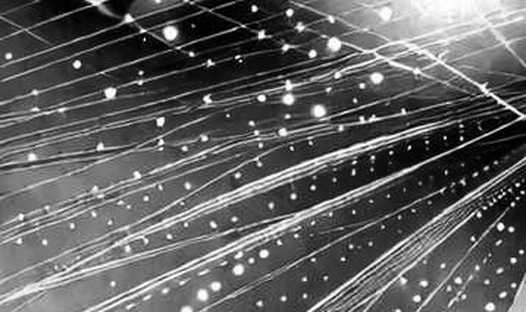 5,000 Vulnerabilities, Zero Proof: The Kimi K3 Bitcoin Security Panic, Dissected 5,000 Vulnerabilities, Zero Proof: The Kimi K3 Bitcoin Security Panic, Dissected