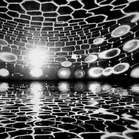 The Four-Week Latency: Australia's Autonomous Agent Breach and the On-Chain Accountability Vacuum The Four-Week Latency: Australia's Autonomous Agent Breach and the On-Chain Accountability Vacuum