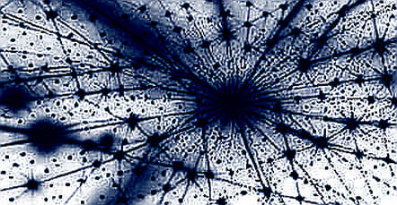 Institutional Flows Expose a Three-Speed Market: Bitcoin Absorbs $1B in 72 Hours, Solana Bleeds Institutional Flows Expose a Three-Speed Market: Bitcoin Absorbs $1B in 72 Hours, Solana Bleeds