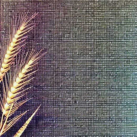 No Soft Fork, No Token, No Free Lunch: Auditing the Shielded Bitcoin Proposal