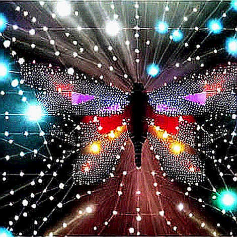 The $5.9M Illusion: Why a Single Day of ETF Inflow Is a Signal, Not a Signal