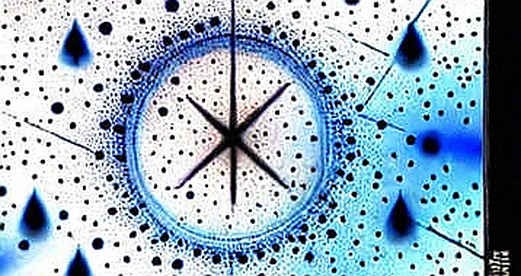 The Distribution Moat: What Musk's 'Fastest Growing Product' Claim Really Reveals About AI's Next Liquidity Cycle