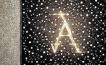 The Perceptron Mirage: When "Affordable AI" Masks an Empty Ledger The Perceptron Mirage: When "Affordable AI" Masks an Empty Ledger