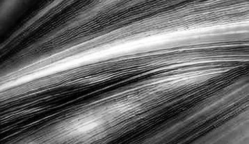 The Sticky Inflation Ledger: When Macro Data Breaks the Code of Certainty The Sticky Inflation Ledger: When Macro Data Breaks the Code of Certainty